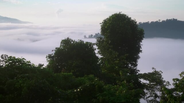 A gentle panning shot across mist-filled rainforest valleys and forested hills in Danum Valley, Borneo, framed by dense tropical vegetation.