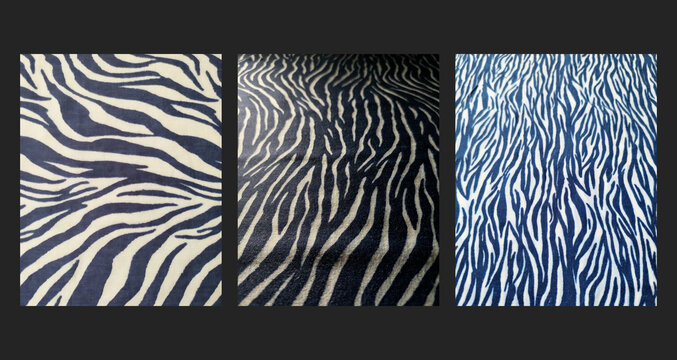 Navy blue zebra print fabric background set, set of 3 dark striped animal pattern variations side by side in natural light with copy space for banner and apparel design