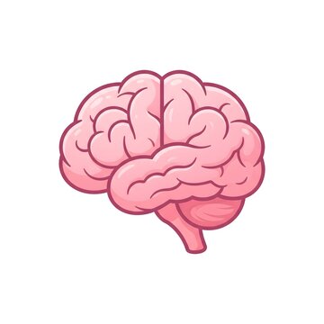 Human brain cartoon icon isolated on white