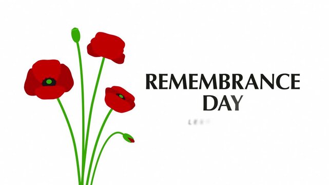 Remembrance Day Lest We Forget Text Animation with Red Poppy Bouquet on White Background
