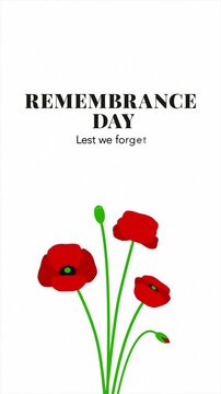 Remembrance Day Lest We Forget Text Animation with Red Poppy Bouquet on White Background