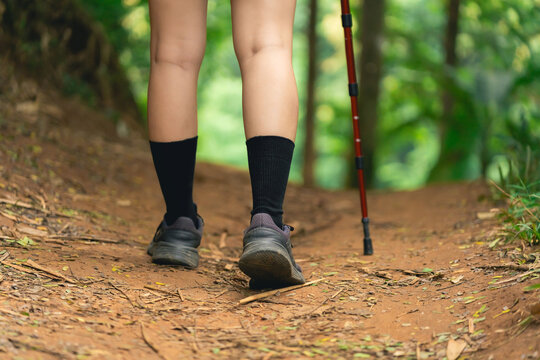 Close-up of person walking on forest trail using trekking pole for support in nature outdoor adventure