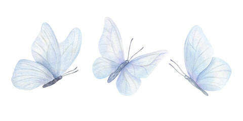 Three pastel blue butterflies with translucent wings watercolor illustration on isolated background. Ethereal insect design for wedding invitations, greeting cards, romantic scrapbooking elements. © Masha_tolk_art