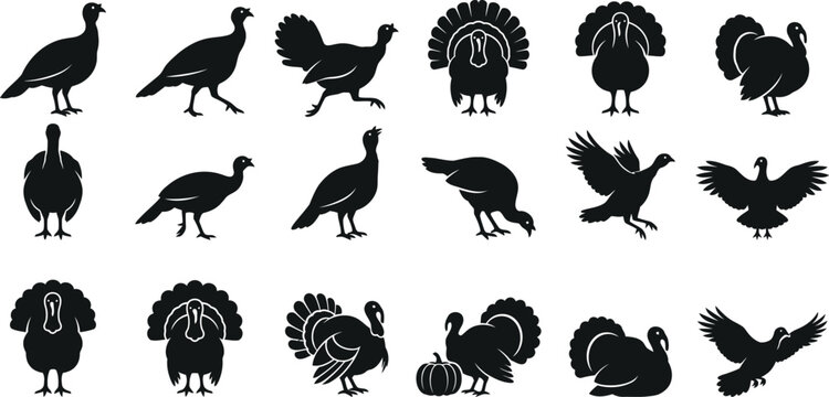 Thanksgiving Turkey Silhouette Vector Icons Set