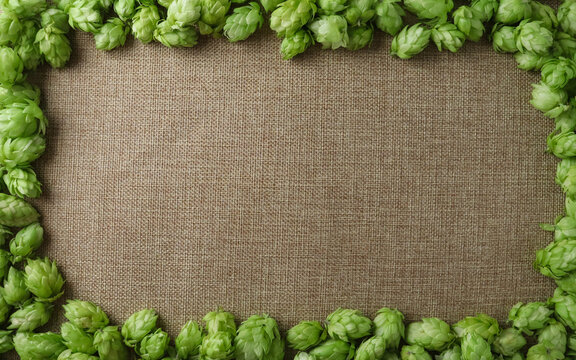 Hops arranged in a border on a linen fabric background for brewing craft beer