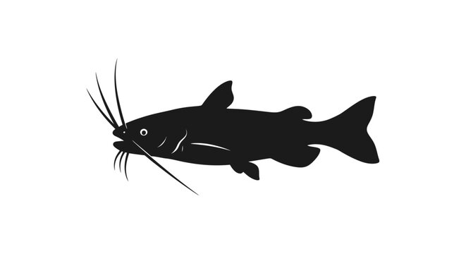 Black catfish silhouette on white background with freshwater swimming seafood whisker animal icon fin