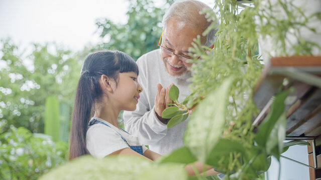 Asian young attractive girl and grandfather standing beside a green potted plant at home held, World Environment Day