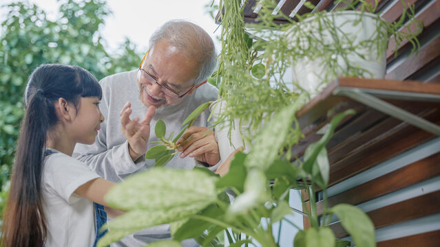 Asian young attractive girl and grandfather standing beside a green potted plant at home held, World Environment Day