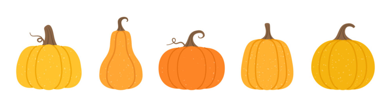 Five textured pumpkins in various shapes and sizes with curly stems, representing a harvest or seasonal theme for use in decorative graphic projects