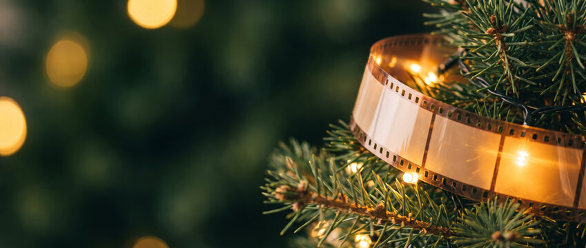 A vintage transparent 35mm film strip creatively wrapped like a garland around the lush green