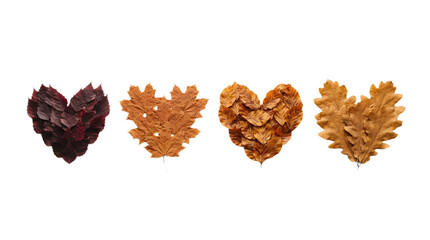 Obraz premium Four heart shapes made of various autumn leaves isolated on transparent background