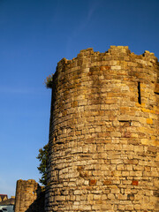Town Walls ruins against a clear blue sky, Caernarfon, Wales, UK. © Cavan