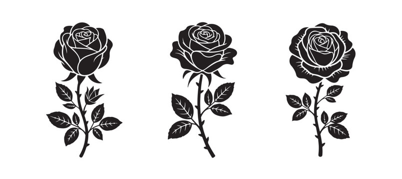 Detailed black rose silhouette illustration pack offers three realistic thorny stem flowers for nature inspired art.