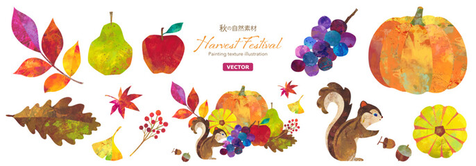 秋の紅葉した落ち葉や木の実と、収穫物とリスで構成した、かわいい感謝祭（収穫祭）のクリップアート。構成要素のセット。カラフルなペインティングテクスチャのイラスト。（ベクター）  © Keiko Takamatsu