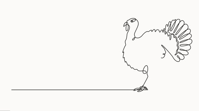 Animation of continuous one line drawing of the turkey. . Self-drawing animation. Full length motion, A minimalist black linear design of a turkey bird depicted in continuous line art style.