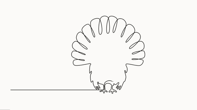 Animation of continuous one line drawing of the turkey. . Self-drawing animation. Full length motion, A minimalist black linear design of a turkey bird depicted in continuous line art style.