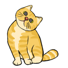 cute cat pose Hand drawn illustration © Siwi