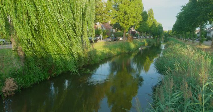 River lake canal waterway flowing between lush greenery forest willow trees reeds and residential neighborhood Netherlands Europe