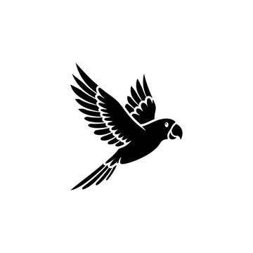 parrot logo vector