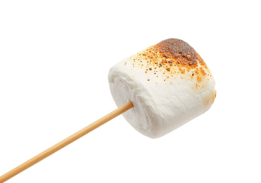 roasted marshmallow skewer
