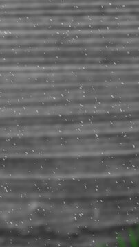 Animation of snow falling against christmas tree branch decoration on wood