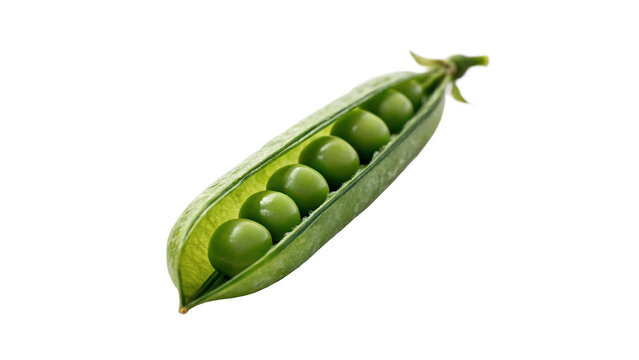 Open green pea pod with sweet round seeds isolated on transparent background
