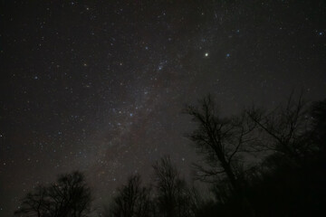 Orion constellation, zodiacal light and Milky Way stars on a dark countryside skies. © astrosystem