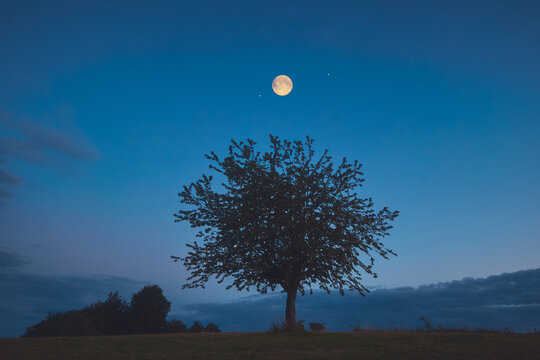 Full Moon, stars and planets above landscape silhouettes in blue hour time.