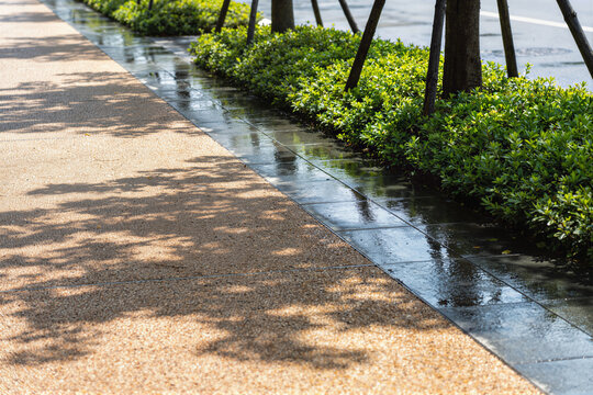 Urban riverside walkway with permeable paving and hedges