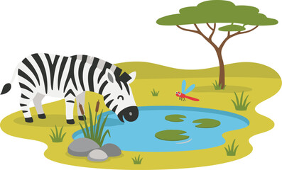 Naklejka premium Cute Zebra Drinking Water at African Savannah Pond Vector Illustration with Acacia Tree and Wildlife Landscape