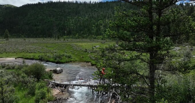 Backpacking woman walking on a tree bridge cross the river the grassland and forest mountains