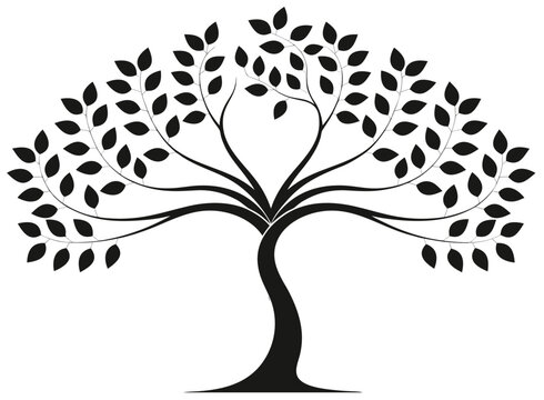 Spreading Tree Silhouette Vector Graphic Black Leafy Canopy Clipart Illustration