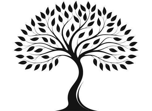 Spreading Tree Silhouette Vector Graphic Black Leafy Canopy Clipart Illustration