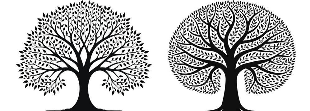 Tree Of Life Black And White Silhouette Vector Illustration With Detailed Roots And Leaves