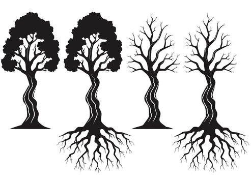 Tree Silhouette Vector Illustration Set Featuring Twisted Trunks Roots And Bare Branches