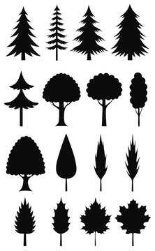 Tree Silhouettes Vector Set Pine Evergreen Forest Trees Clipart Icons