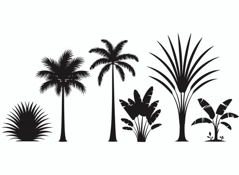 Tropical Plant Silhouette Vector Collection Featuring Palm Trees And Exotic Flora