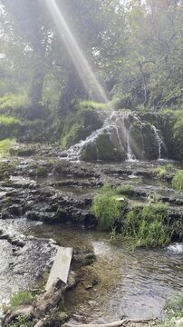Vertical pan left showcasing serene water streams flowing over mossy tufa rock cascades