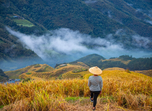 Terraced rice fields, Longshen near Guilin, Guangxi Province, People's Republic of China -  Clouds covered rice fields and hills in the foreground