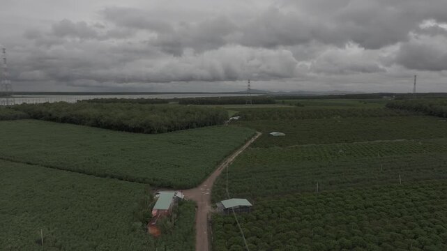 Aerial drone view of a solar power farm on Dau Tieng Lake, Tay Ninh, Vietnam, showcasing photovoltaic panels, renewable energy and sustainable technology across a vast lake landscape.
