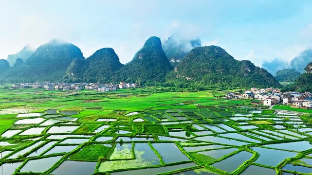 Aerial drone view of a traditional rural village surrounded by green rice fields and karst mountains in Guilin, China, showcasing the glass fields landscape in summer.