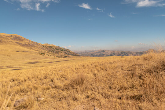 Wide open golden plains in the Andes mountains