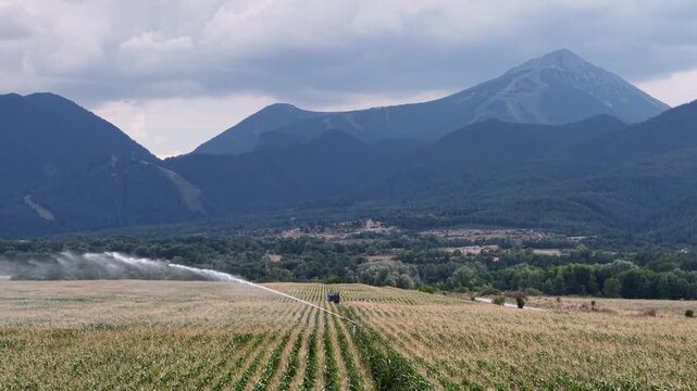 Sprinklers spray water across rows of corn while the aerial camera moves smoothly over cultivated farmland with mountains in the background.