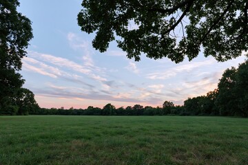 Naklejka premium The Meadow at Sunset Over a Spacious Green Park Landscape