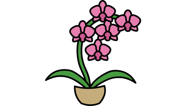 Simple Illustrated Pink Orchid Plant in a Decorative Pot for Botanical Decor