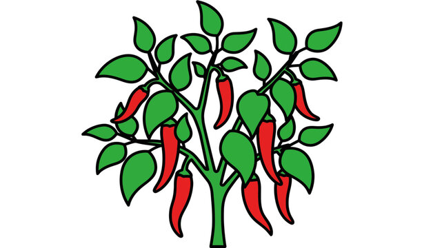 Illustration of a Vibrant Chili Pepper Plant Growing Red Spicy Chilies on Green Foliage