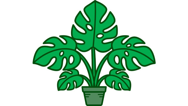 Green Monstera Deliciosa Houseplant in a Potted Ceramic Container Illustration