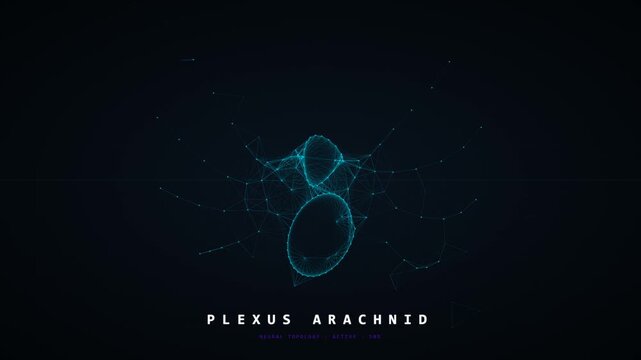 Abstract Digital Spiderweb Plexus Arachnid Intro Logo Animation