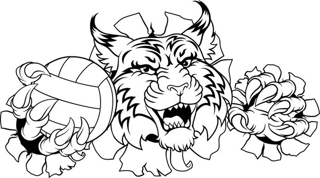 A wildcat cougar lynx lion volleyball animal sports mascot holding a volley ball in his claw