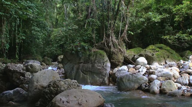 A pristine, crystal-clear stream winds and bends through moss-covered rocks in the ancient Leuser Rainforest, Sumatra, Indonesia. Untouched tropical rainforest scenery